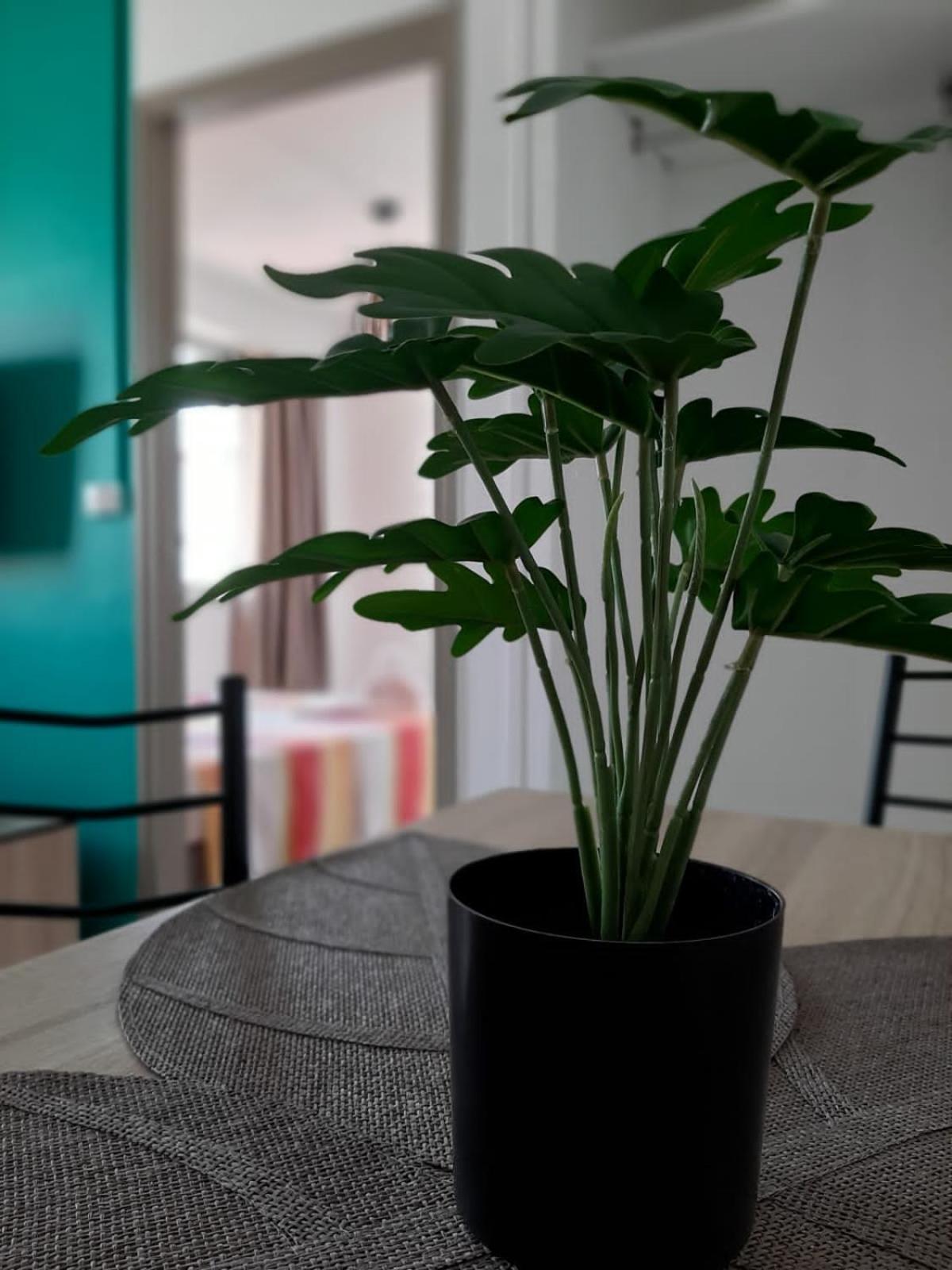 Republique Lounge Apartman Fort-de-France Kültér fotó